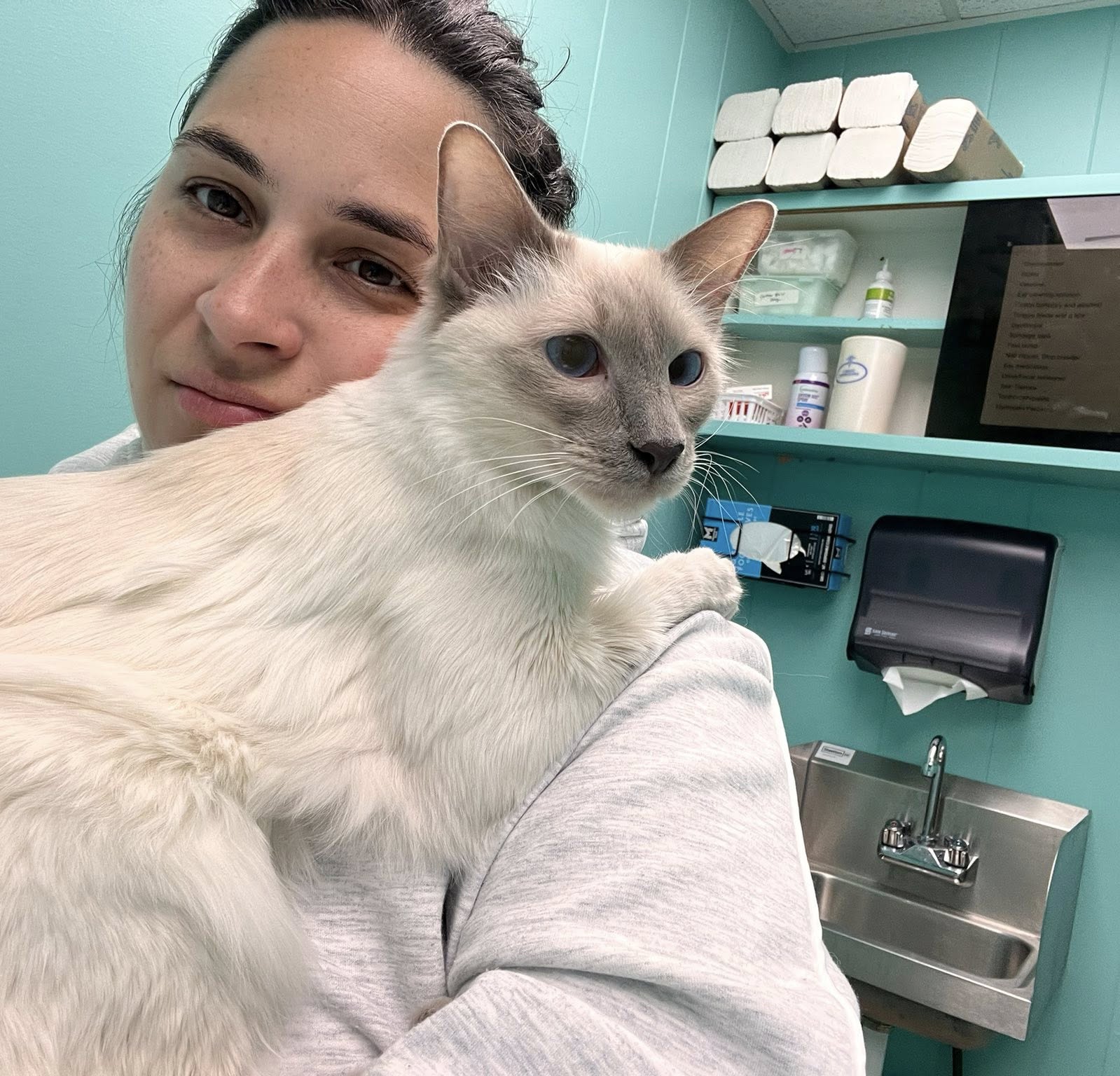 supremesiamese 1748534008 3643289777542010151 40382241156